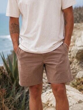 VOLCOM Brown Shorts